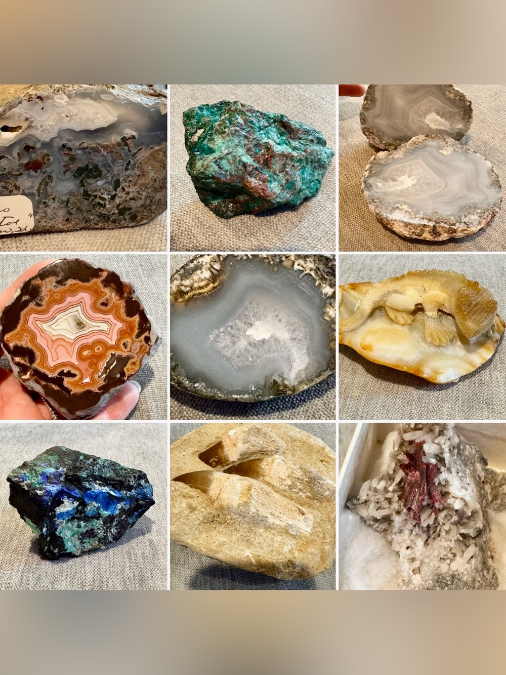 Rock/Fossil Swaps